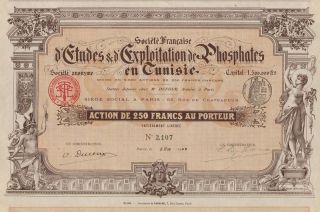 Africa Tunisia Phosphate Exploration Co Stock Certificate 1908 photo