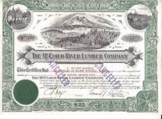 The Mccloud River Lumber Company (minnesota). . .  1945 Stock Certificate photo