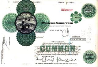 Broker Owned Stock Certificate: Rotan Mosle Inc,  Payee; Westvaco Corp,  Issuer photo