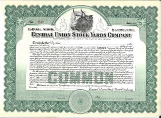 Central Union Stock Yards Company. . . . . .  Unissued Stock Certificate photo