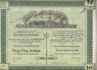 Egypt Distilleries Stock Certificate 1956 25 Sh photo