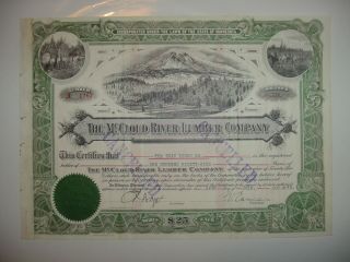 Mccloud River Lumber Company Stock Certificate Minnesota photo