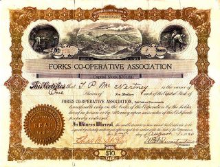 Forks Co - Operative Association Pa 1920 Stock Certificate photo