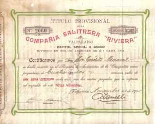 Chile 1905 Nitrate Company Compania Salitrera Riviera 400 Shares Or More photo