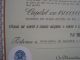 Insurance Company Ourique - Twenty - Five Shares Certified 1974 ? World photo 2