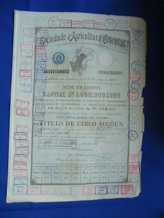 Portugal Share Sociedade Agricultural Colonial 100$000 Reis 1902 Look Scans photo