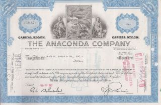 The Anaconda Company. . . . . . . . . . . . . .  1956 Stock Certificate photo