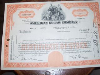 American Sugar Company photo
