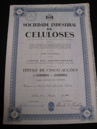 Society Of Industrial Cellulose - Five Share Certified 1964 photo