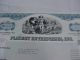 Playboy Stock Certificate Issued August 4,  2009 Stocks & Bonds, Scripophily photo 1