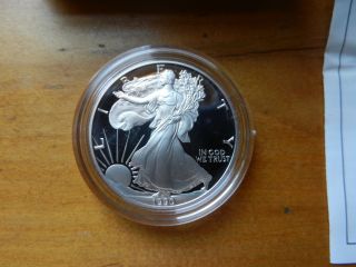 1990 S American Silver Eagle Dollar Proof W/case And Frosty photo