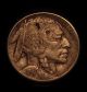 Rare 1916 Us Buffalo Nickel Poor Man ' S Doubled Die Obverse + Planchet Flaw Nickels photo 1