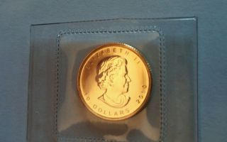 1/4 Ounce Gold Canadian Coin photo