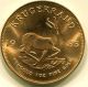 1983 Krugerand 1 Oz.  Pure.  999 Gold Uncirculated Coin - Us Gold photo 1
