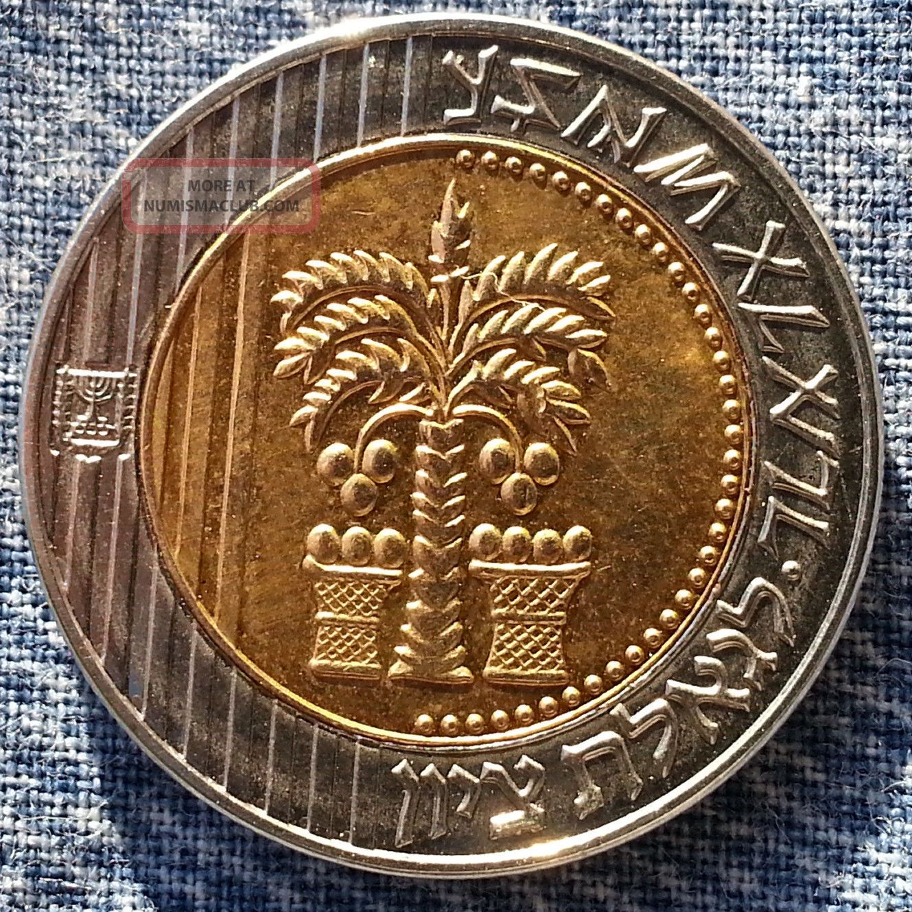 Israel 10 Sheqalim 2010 Shekel Hebrew Holyland israel-10-sheqalim-2010-shekel-hebrew-holyland