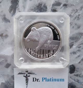 2002 Koala,  Australia,  Proof,  50 Dollars,  1/2 Ounce, .  9995 Platinum photo