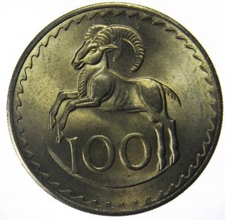 Cyprus 100 Mils,  1963 Goat Ram Animal World Coin photo