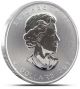 2013 - 1 Oz Canadian Silver Maple Leaf Coin - One Troy Oz.  9999 Bullion Coins: World photo 1