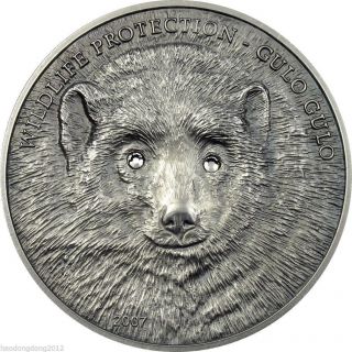 Rare Mongolia 2007 500 Togrog Gulo Gulo Wolverine 1 Oz Silver Coin Extremely photo