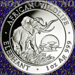 2009 Somalia African Wildlife Elephant 1 Troy Oz.  999 Silver Bu Coin In Capsule photo