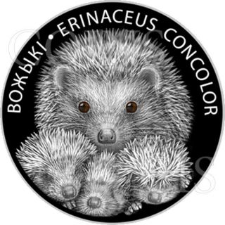Belarus 2011 20 Rubles Hedgehogs Proof Silver Coin Swarovski® Crystals photo