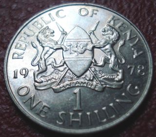 1978 Kenya 1 Shilling In Ef - Au photo