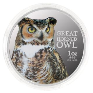 2013 Birds Of Prey - Great Horned Owl 1oz 99.  9 Silver Proof Coin photo
