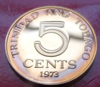 Frosted 1973 Trinidad & Tobago Rare Proof 5 Cents,  Coat Of Arms photo