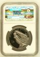2002 Palau Marine Life Knurrhahn Mermaid Color Proof Plated Coin 1$ Ngc Pf68 Australia & Oceania photo 1