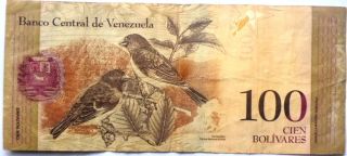 Venezuela Banknote 100 Bolivares 2009 photo