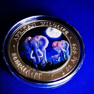 2014 1oz 999 Fine Silver African Wildlife Somalia Elephant Night Colorized Coin photo