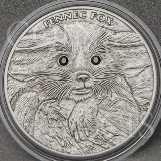 Niue 2013 2$ Fox Babies - Fennec Fox Antique Finish Silver Coin W/swarovski photo