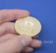 Bitcoin Btc Collectible Coin Gold Plated 1 Ounce Coins: World photo 1