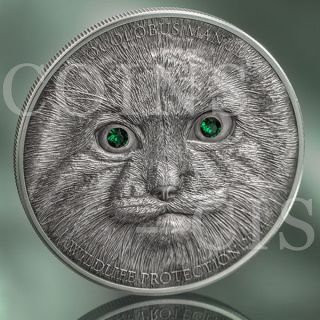 Mongolia 2014 500 Togrog Manul Wildlife Antique Finish Silver Coin Swarovski® photo