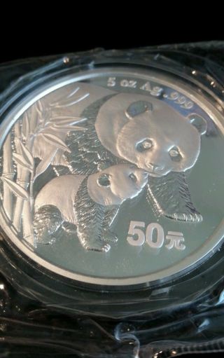 2004 China Panda 5oz.  999 Silver Coin photo