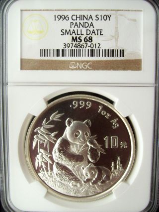 1996 China Panda Small Date 10 Yuan Ngc Ms68 1 Ounce Silver Coin photo