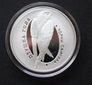Belarus 10 Roubles 2012 Proof Silver Coin Swallow Bird photo