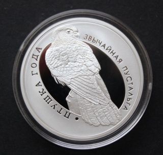 Belarus 10 Roubles 2010 Proof Silver Coin Kestrel Bird photo