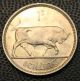 Ireland - 1955 Irish Shilling 1/ - Brilliant Uncirculated One Bob Irland Coin Europe photo 1