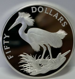 Cayman Islands 1985 $50 Snowy Egret Bird,  0.  925 Silver Oversize (2.  5 In) Coin photo