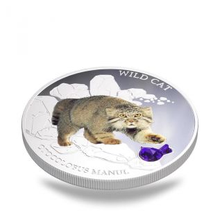 Fiji 2014 Wild Cat Iv Otocolobus Manul Pallas Dogs & Cats 1 Oz Proof Silver Coin photo
