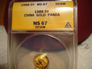 1988 China Gold Panda (1/20 Oz) 5 Yuan Anacs Ms 67 Dcam photo