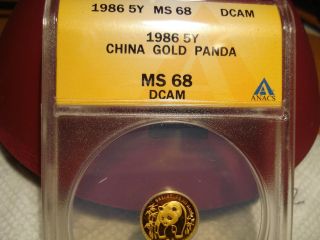 1986 China Gold Panda (1/20 Oz) 5 Yuan Anacs Ms 68 Dcam photo