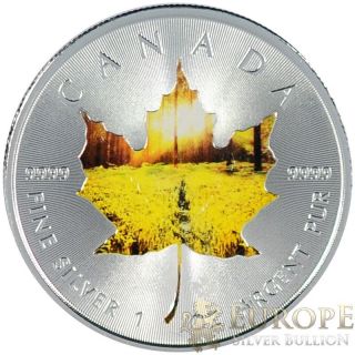 2014 1 Oz Ounce Silver Canadian Maple Leaf Coin Summer Theme 9999 Fine photo