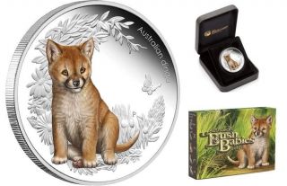 Australia 2011 50ct Australian Bush Babies - Dingo 1/2 Oz Silver Proof Coin photo