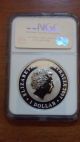 2007 Australia Koala 1 Oz 999 Silver Coin Ngc Ms 69 First Year Of Issue Gem Bu Australia photo 1