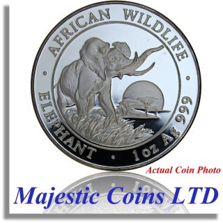 2010 Somalia Hybrid Date African Elephant.  999 Silver 100 Shillings - Rare photo