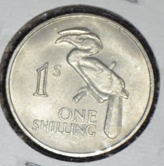 Zambia - 1 Shilling Coin - 1964 photo