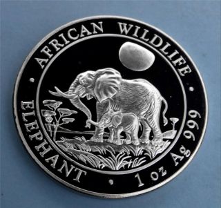 2011 Somalian African Elephant.  999 1oz Silver Deep Cameo Gem Bu Coin photo