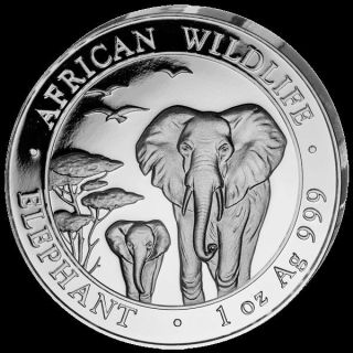 2015 Somalia African Elephant 1 Oz 999 Fine Silver 100 Shillings Coin photo